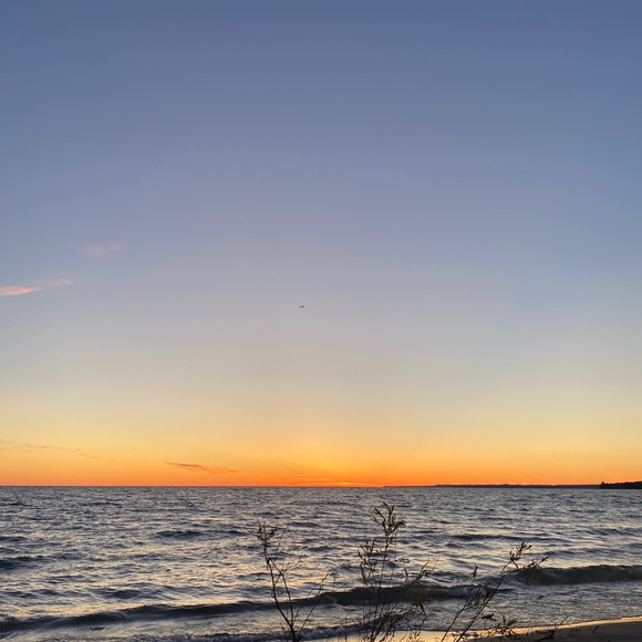 Meet your Posher, Joanie - Picture 1 of 1